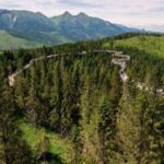 Zakopane: Bachledka Treetop Walk and Strbske Pleso Tour - An In-Depth Look at the Zakopane: Bachledka Treetop Walk and Strbske Pleso Tour