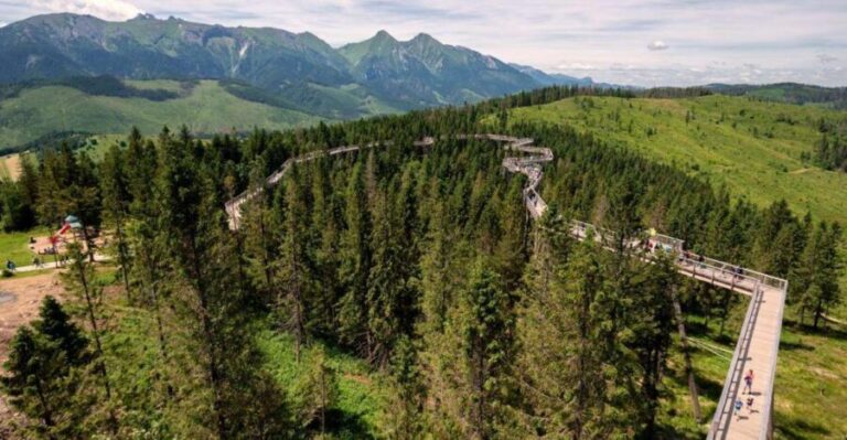 Zakopane: Bachledka Treetop Walk and Strbske Pleso Tour - An In-Depth Look at the Zakopane: Bachledka Treetop Walk and Strbske Pleso Tour