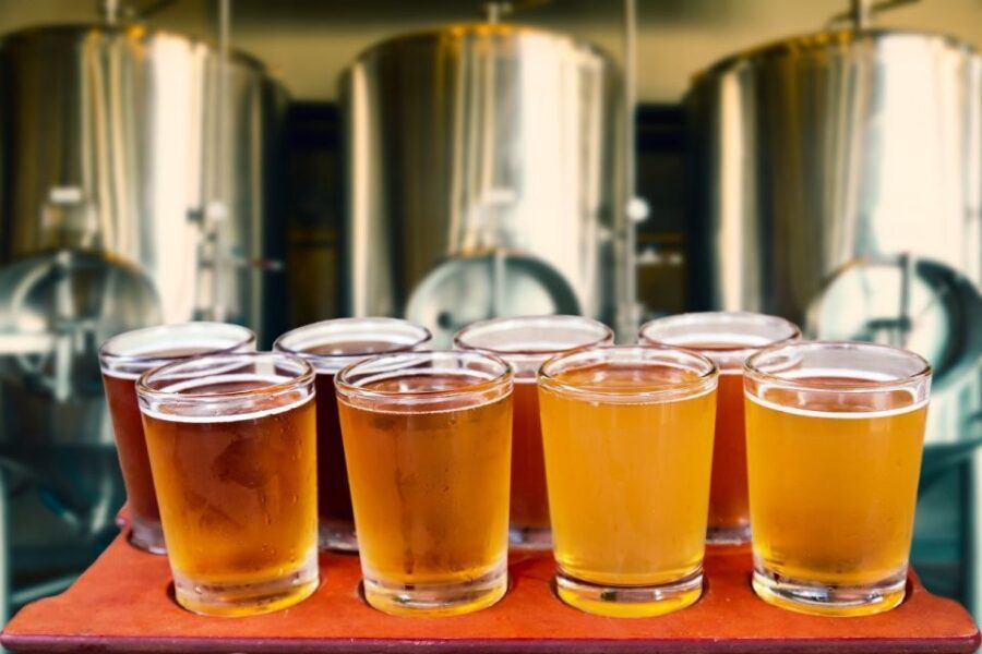Zakopane Beer Tasting Tour: Visit the Best Pubs in Zakopane - Who Will Love This Tour?