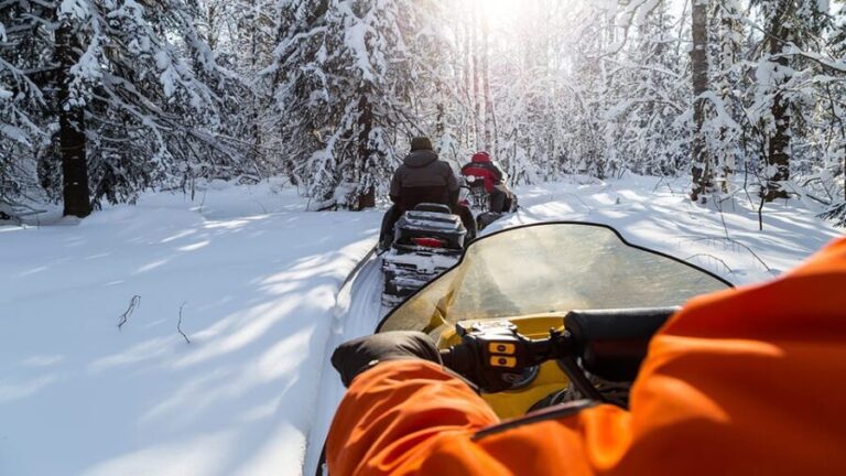 Zakopane: Extreme Snowmobile Ride with Bonfire and Transfers - What Makes This Tour Truly Valuable?
