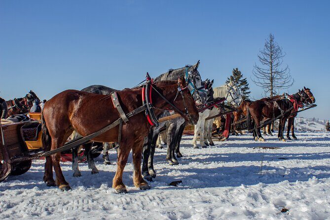 Zakopane Horse-Drawn Rides with Local Guide and Food Tasting - The Sum Up
