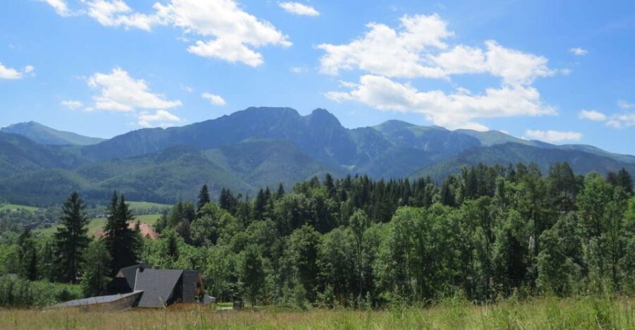 Zakopane: Sightseeing Tour from Krakow - Who Should Consider This Tour?