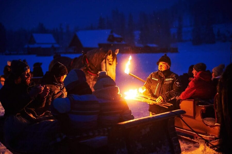 Zakopane: Snowmobile Ride with Bonfire and Private Driver - Who Should Consider This Tour?