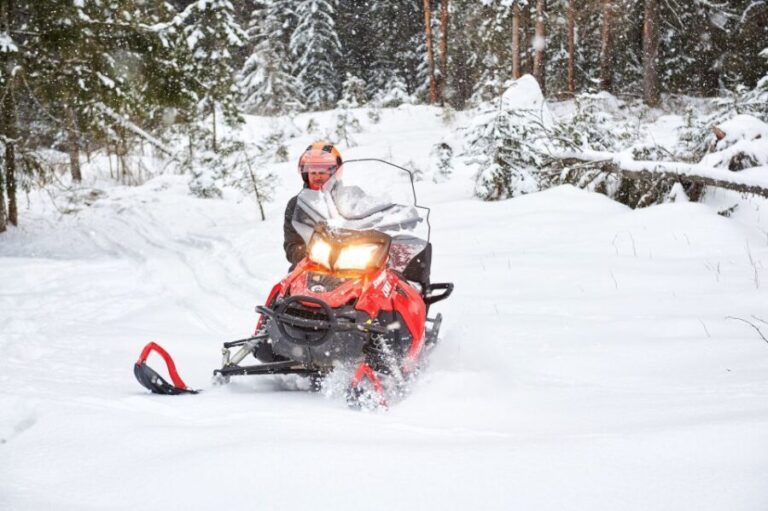 Zakopane: Snowmobiles Expedition and Optional Bonfire - Who Will Love This Experience?
