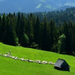 Zakopane Tour from Krakow  Highland Experience & Stunning Views - FAQs