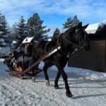 Zakopane Tour from Krakow with Thermal SPA and Hotel Pick up - A Closer Look at the Zakopane Tour Experience