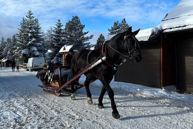 Zakopane Tour from Krakow with Thermal SPA and Hotel Pick up - A Closer Look at the Zakopane Tour Experience