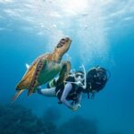 Zakynthos: Scuba Diving Experience with Underwater Photos - A Practical Look at the Zakynthos Scuba Experience