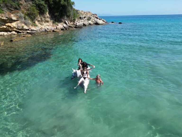 Zakynthos: Yotomu Horse Riding and Swimming Experience - A Closer Look at the Yotomu Horse Riding Experience