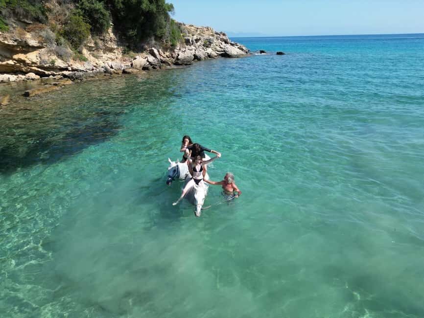 Zakynthos: Yotomu Horse Riding and Swimming Experience - A Closer Look at the Yotomu Horse Riding Experience