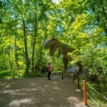 Zatorland Amusement Park: Entry Ticket - Why Visit Zatorland?