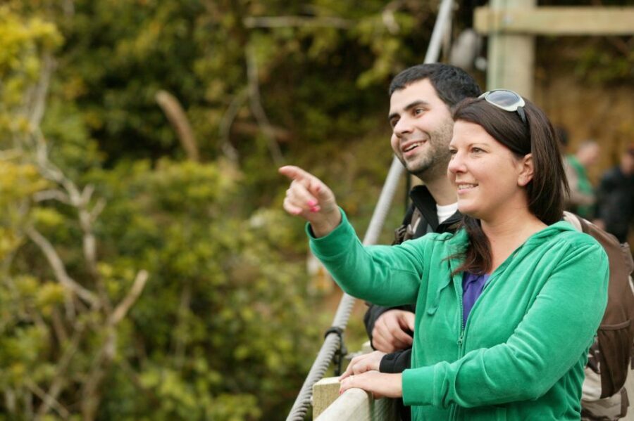 Zealandia by Day Tour - Authentic Insights from Reviews