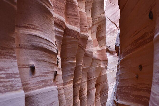 Zebra Slot Canyon Hiking Tour in Escalante - The Hike Itself: 5 Miles Round Trip