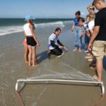 Zeeland Beach safari with Fishnet NL/DE - Final Thoughts: Who Will Love This Safari?