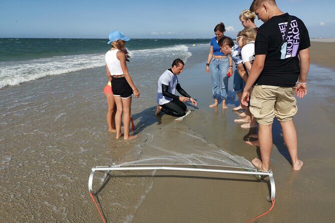 Zeeland Beach safari with Fishnet NL/DE - Final Thoughts: Who Will Love This Safari?