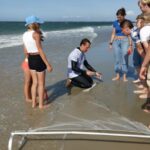 Zeeland Zeehonden strand safari NL/DE - Why This Tour Offers Good Value
