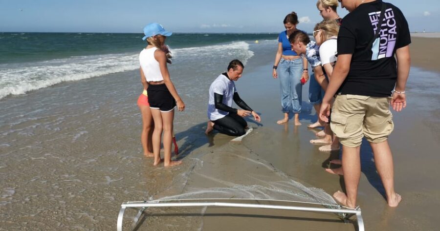 Zeeland Zeehonden strand safari NL/DE - Why This Tour Offers Good Value