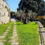 Zen Walking Tour Porto: Find Your Balance 2h - Key Points