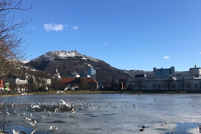 Zero Emission Bergen City Tour By Car - Analyzing the Cost and Value