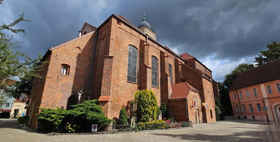 Zielona Góra  3-Hour Walking Tour of Polands Wine Capital - The value of this tour