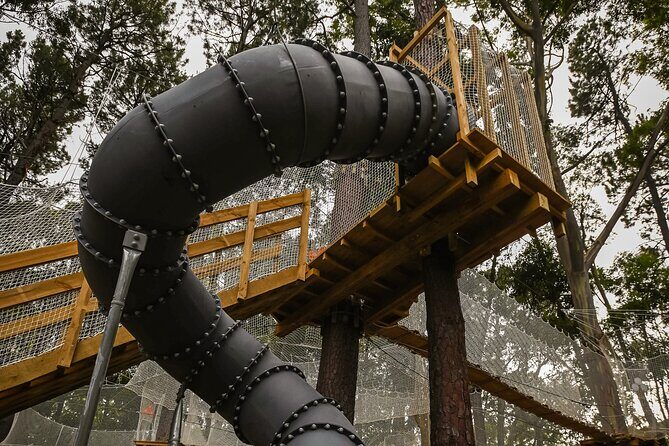 Zipline over the Heysen Trail & Through the Pines of Kuitpo - Final Thoughts