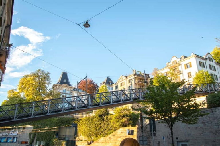 Zurich: 2-hour Best Intro Walking Tour with a Local - Analyzing the Value