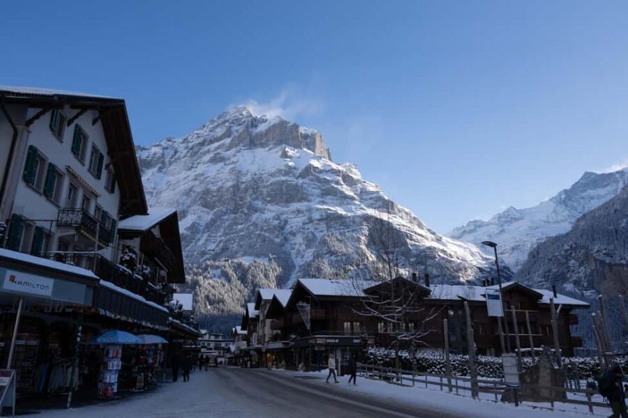 Zurich: Alps, Grindelwald, Lauterbrunnen & Interlaken Tour - Who Will Love This Tour?