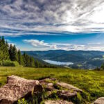 Zurich: Black Forest, Titisee, and Rhine Falls Bus Day Trip - Exploring the Itinerary: What Makes This Tour Stand Out