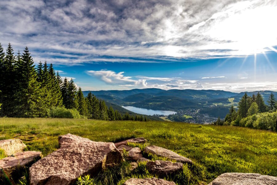 Zurich: Black Forest, Titisee, and Rhine Falls Bus Day Trip - Exploring the Itinerary: What Makes This Tour Stand Out