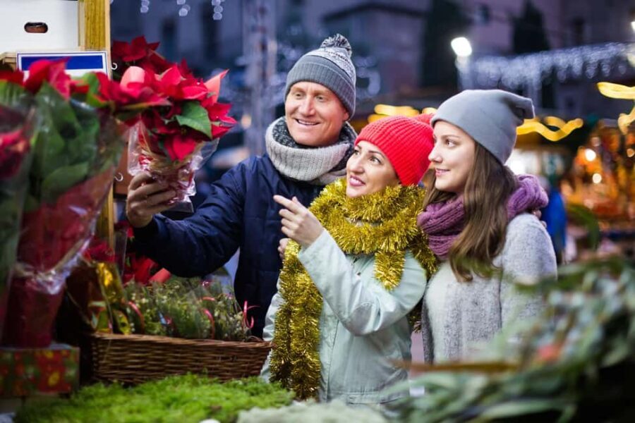 Zurich: Enchanted Christmas - A Festive Private Walking Tour - Practical Information and Considerations