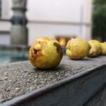 Zürich Historic District Tour - FAQs