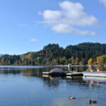 Zürich/Lucerne: Rhine Falls, Titisee & Black Forest Day Trip - What Travelers are Saying