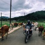01 Day Easy Rider from Da Lat to Mui Ne by motorbike - Who Should Consider This Tour?