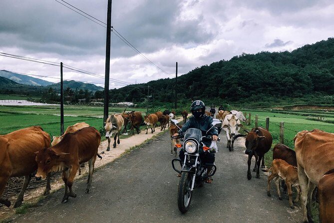 01 Day Easy Rider from Da Lat to Mui Ne by motorbike - Who Should Consider This Tour?