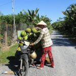 02 -Days: Bike, Boat & Kayak The Mekong Delta. - Day 2: Markets, Islands, and More Paddling
