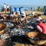 03 Nights in Amazing Sri Lanka - Who Should Consider This Tour?