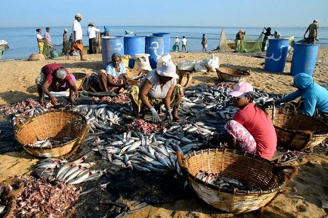 03 Nights in Amazing Sri Lanka - Who Should Consider This Tour?