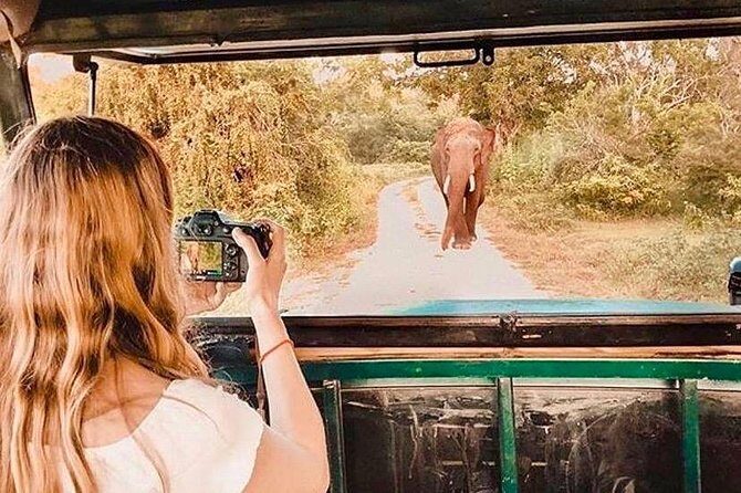 08 - Day Classic Tour with English speaking drive and Private luxury vehicles - The Value of the Tour