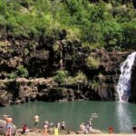 1/2 Circle Island & North Shore Fun with The Surf Bus - The Sum Up