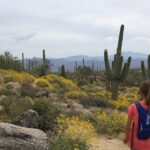 1-2 Hour Sonoran Desert Private Guided Hiking Tour - The Guide: Why It Matters