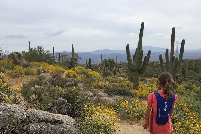 1-2 Hour Sonoran Desert Private Guided Hiking Tour - The Guide: Why It Matters