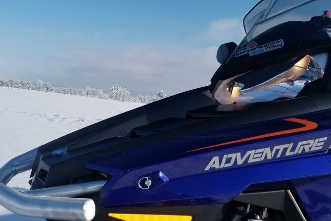 1.5-Hour Guided Snowmobiling Adventure