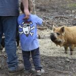 1.5 Hour Immersive Farm Experience in Adirondacks - Feeding and Animal Interactions