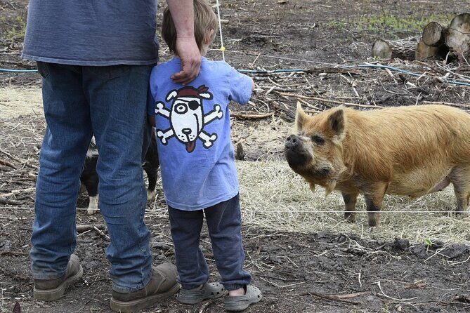 1.5 Hour Immersive Farm Experience in Adirondacks - Feeding and Animal Interactions