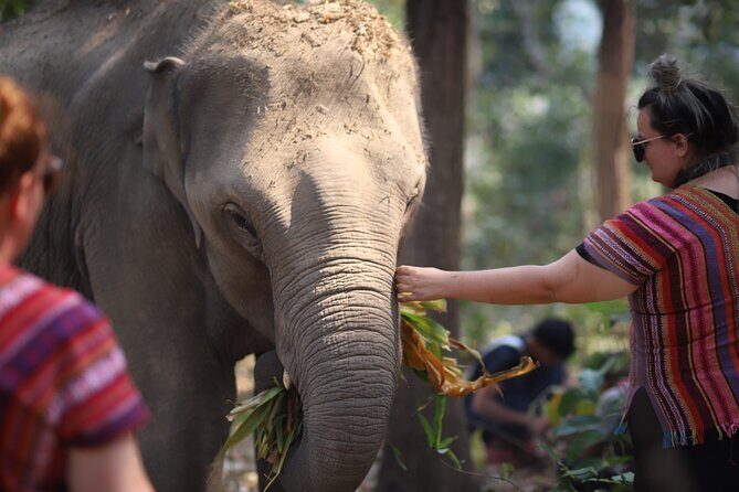 1 Day Eco Elephant Excursion - The Itinerary Breakdown