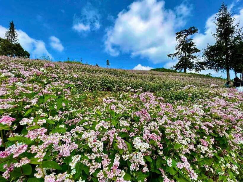 1 Day Ha Giang Loop Tour by Motorbike with Easy Rider - What Makes This Tour Stand Out?