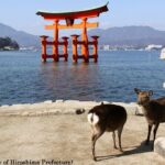 1 Day Hiroshima and Miyajima Tour by Bullet Train from Kyoto - Who Should Consider This Tour