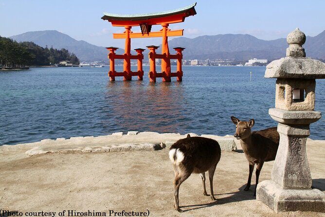 1 Day Hiroshima and Miyajima Tour by Bullet Train from Kyoto - Who Should Consider This Tour