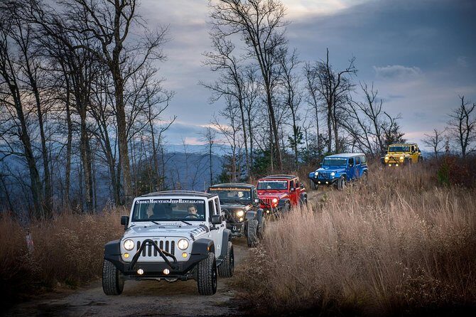 1 Day Jeep Rental Through the Smoky Mountains - The Jeep: Comfort and Convenience