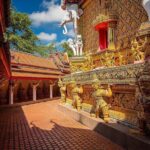 1 Day Khao Sok Jungle Safari and 2 Days Cheow Lan Lake Explorer from Krabi - Who Will Love This Tour?